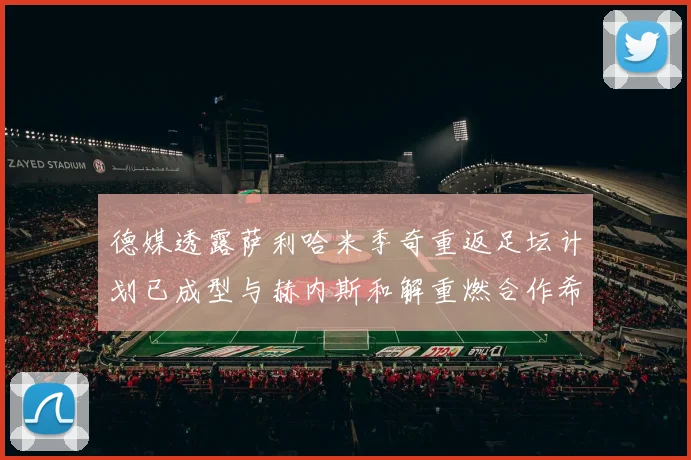 德媒透露萨利哈米季奇重返足坛计划已成型与赫内斯和解重燃合作希望