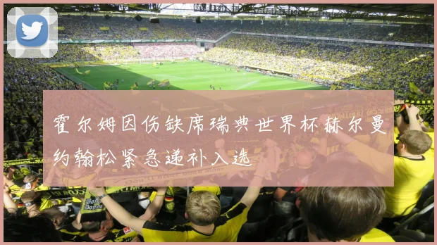 霍尔姆因伤缺席瑞典世界杯赫尔曼约翰松紧急递补入选